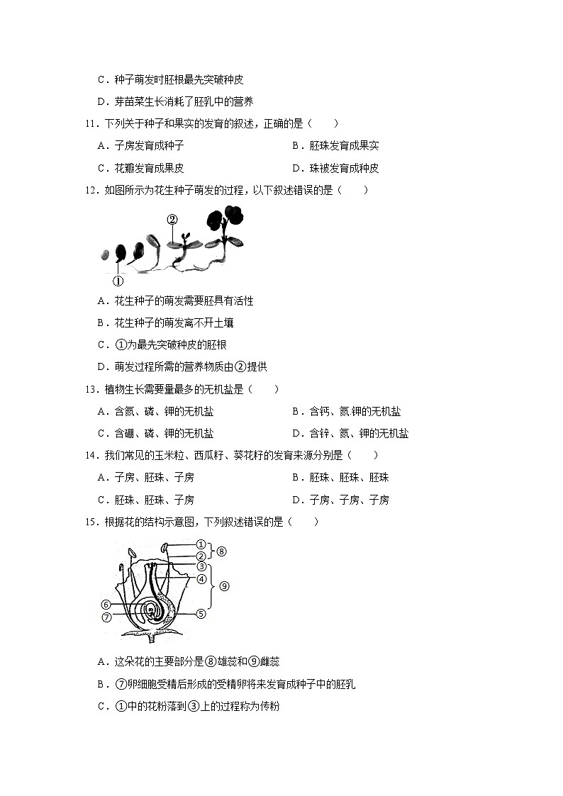 2023年春鲁科版（五四制）六下生物 第2章被子植物的一生 单元测试103