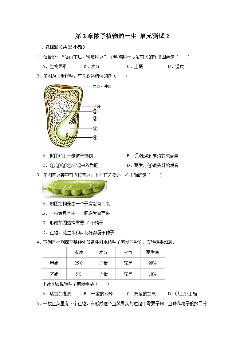 2022年春鲁科版（五四制）六下生物 第2章被子植物的一生 单元测试2（原卷版）第1页