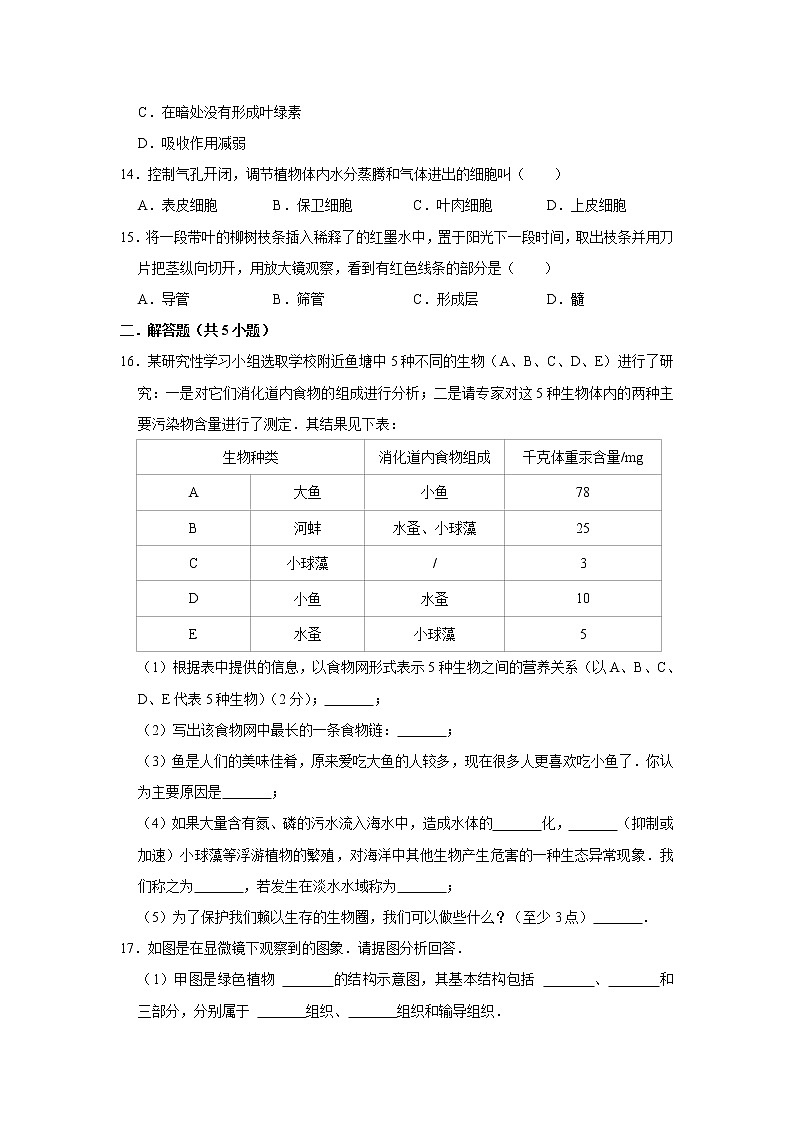 2023年春鲁科版（五四制）六下生物 第3章绿色植物与生物圈的水循环 单元测试203