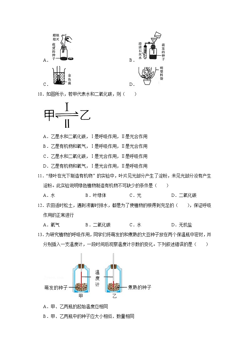 2023年春鲁科版（五四制）六下生物 第5章绿色植物与生物圈中的碳——氧平衡 单元测试103