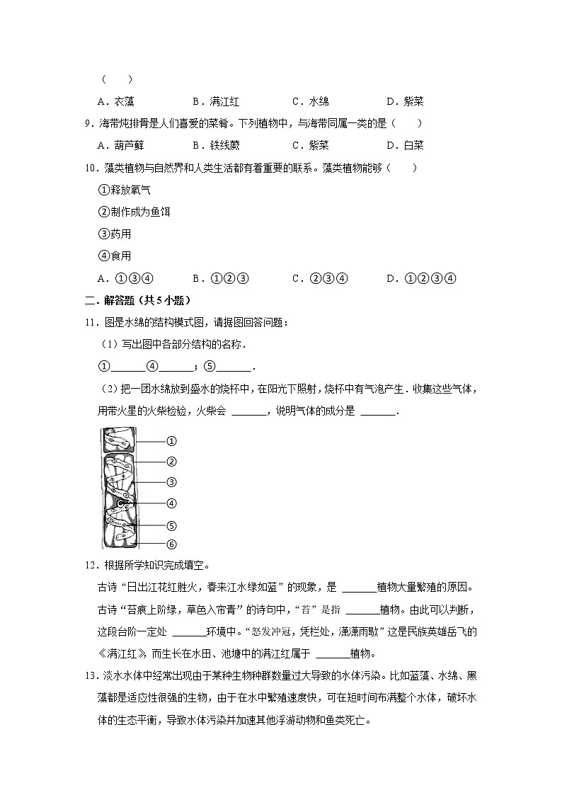 2023年春鲁科版（五四制）六年级下册生物 1.1藻类植物 同步卷102