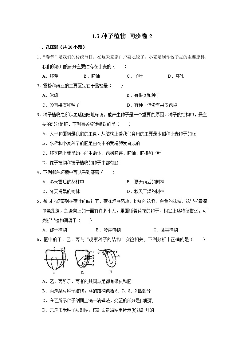 2023年春鲁科版（五四制）六年级下册生物 1.3种子植物 同步卷201