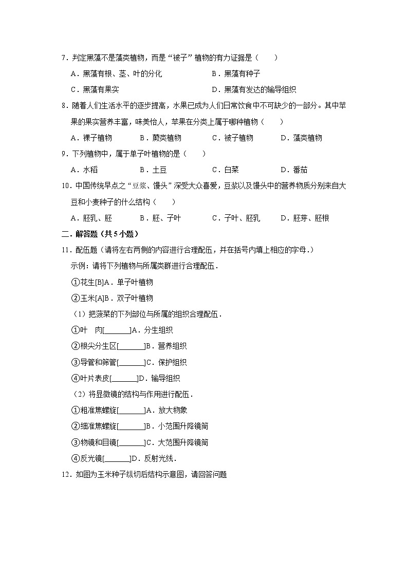 2023年春鲁科版（五四制）六年级下册生物 1.3种子植物 同步卷202