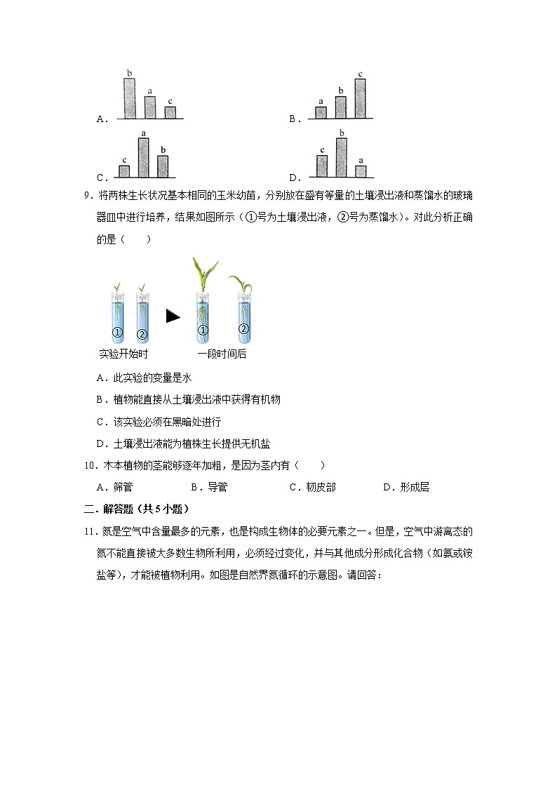 2023年春鲁科版（五四制）六年级下册生物 2.2植株的生长 同步卷102