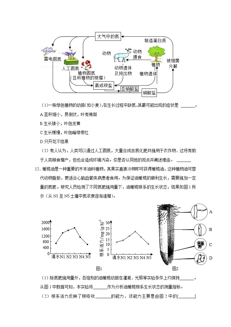 2023年春鲁科版（五四制）六年级下册生物 2.2植株的生长 同步卷103