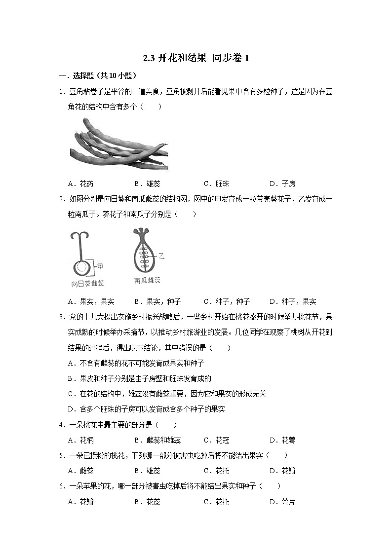 2023年春鲁科版（五四制）六年级下册生物 2.3开花和结果 同步卷101
