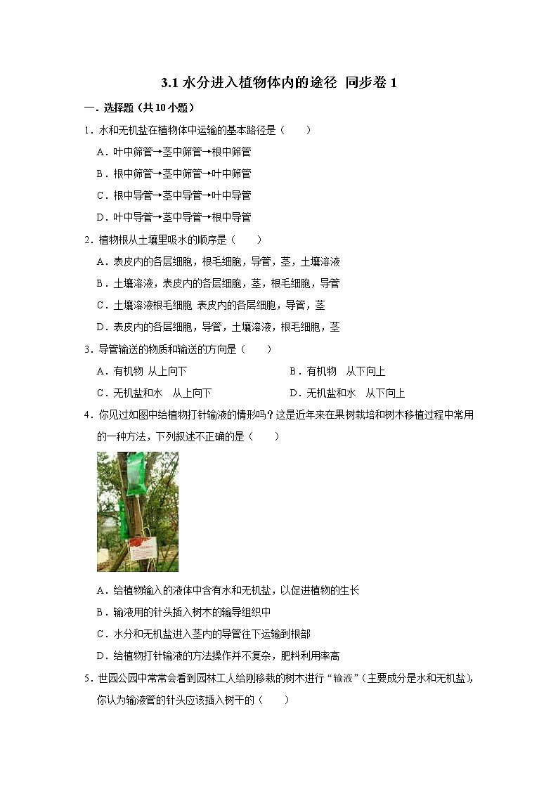 2023年春鲁科版（五四制）六年级下册生物 3.1水分进入植物体内的途径 同步卷1第1页