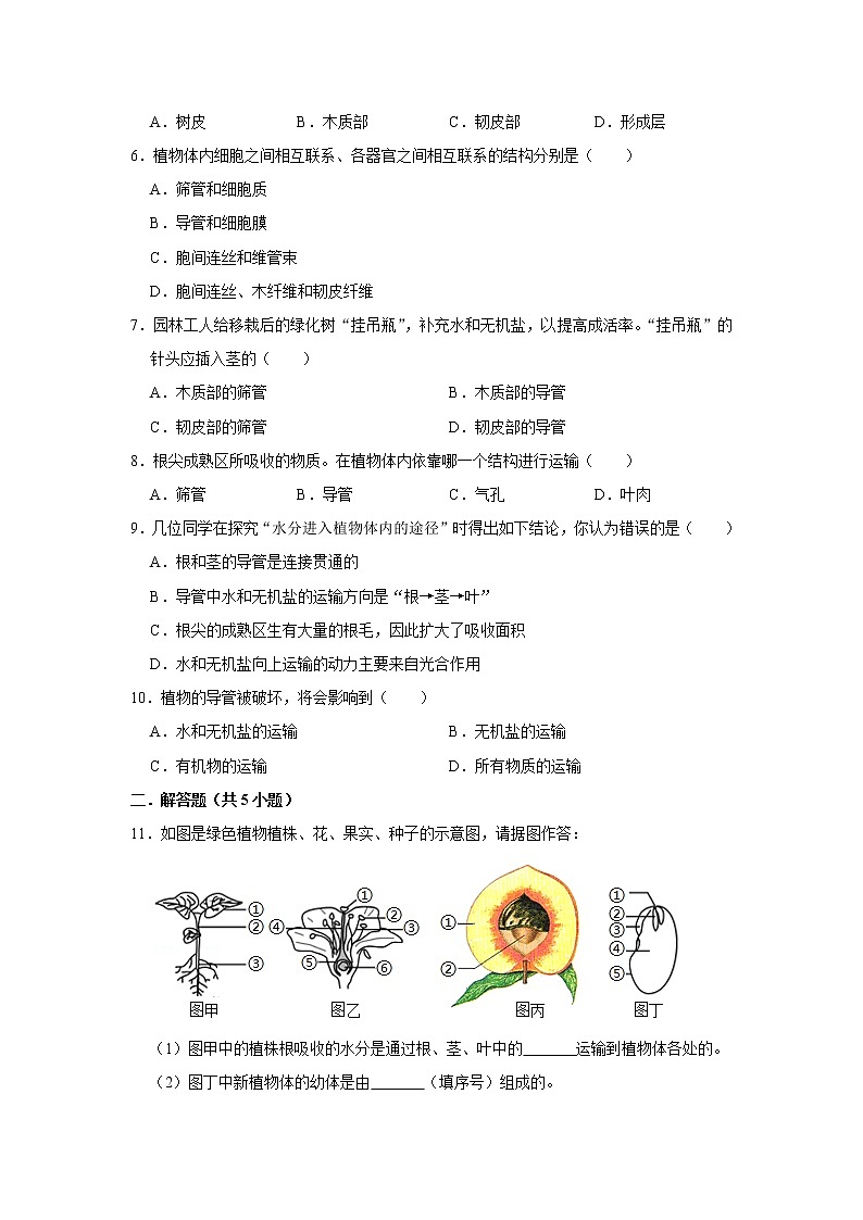2023年春鲁科版（五四制）六年级下册生物 3.1水分进入植物体内的途径 同步卷1第2页