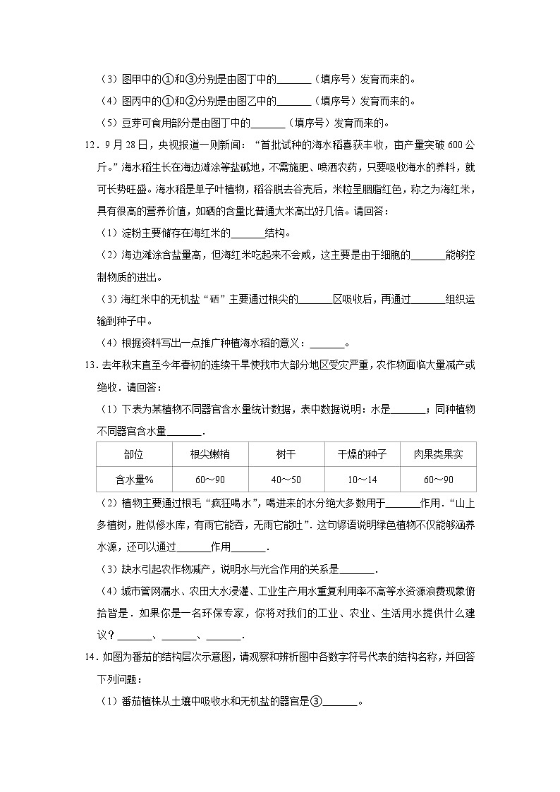 2023年春鲁科版（五四制）六年级下册生物 3.1水分进入植物体内的途径 同步卷1第3页