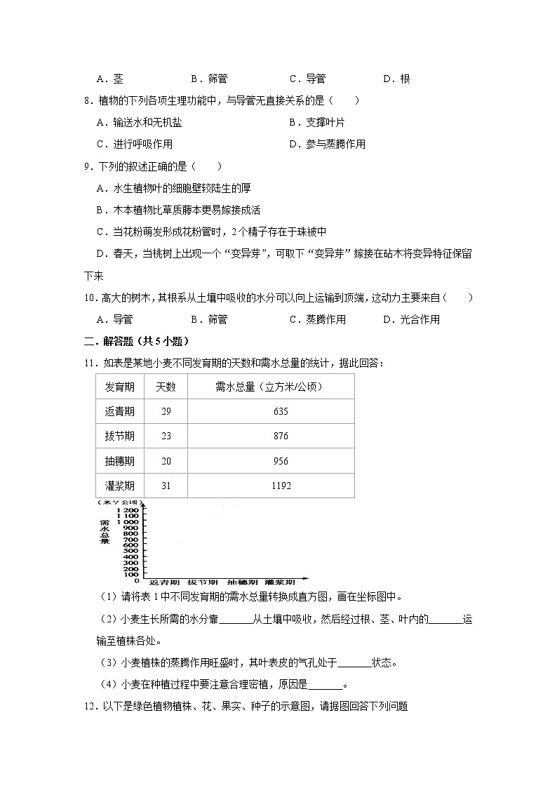 2023年春鲁科版（五四制）六年级下册生物 3.1水分进入植物体内的途径 同步卷202