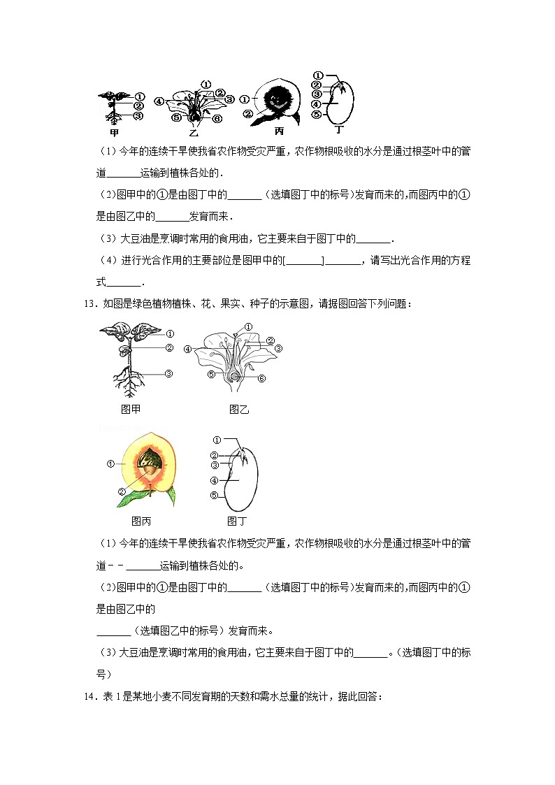 2023年春鲁科版（五四制）六年级下册生物 3.1水分进入植物体内的途径 同步卷203