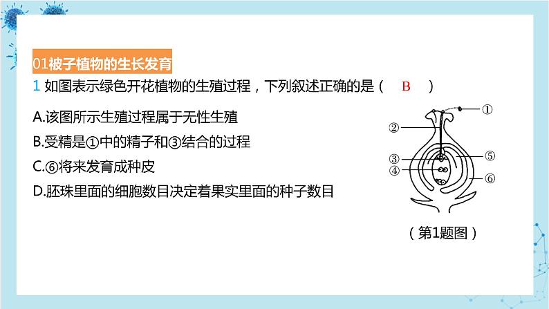 人教版生物八年级下册专题1 被子植物的生理现象分析（课件PPT）02