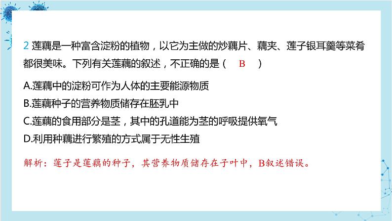 人教版生物八年级下册专题1 被子植物的生理现象分析（课件PPT）04