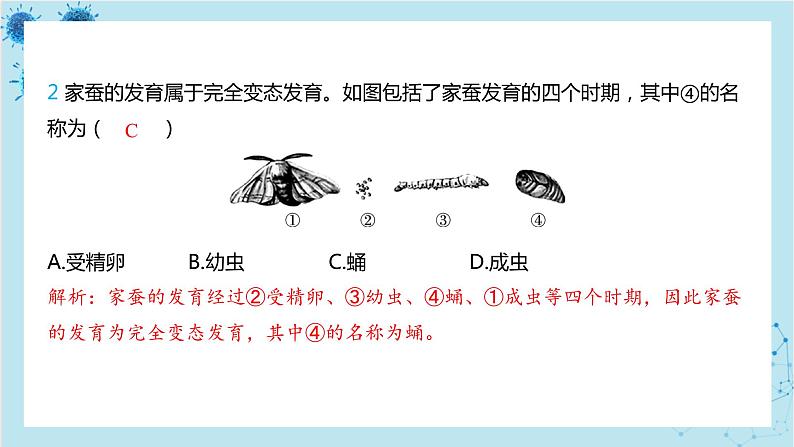 人教版生物八年级下册专题2 生物的生殖和发育（课件PPT）03