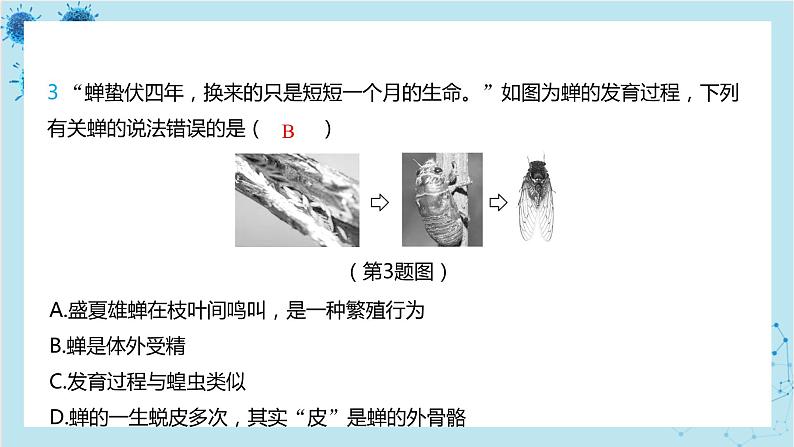 人教版生物八年级下册专题2 生物的生殖和发育（课件PPT）04