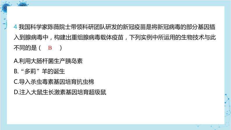 人教版生物八年级下册专题3 性状与遗传规律（课件PPT）05