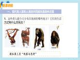 1.1《人的起源和发展》课件+教案+导学案+练习