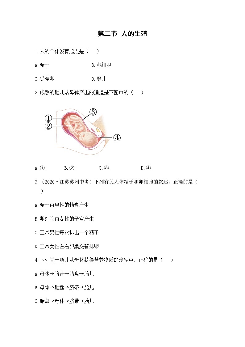 1.2《人的生殖》课件+教案+导学案+练习01