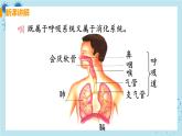 3.1《呼吸道对空气的处理》课件+教案+导学案+练习