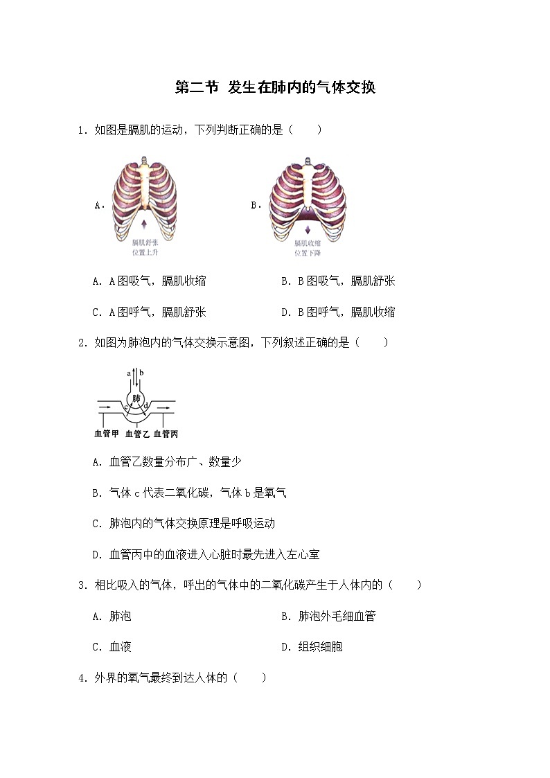 3.2《发生在肺内的气体交换》课件+教案+导学案+练习01