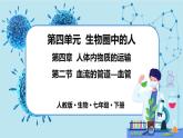 4.2《血流的管道——血管》课件+教案+导学案+练习