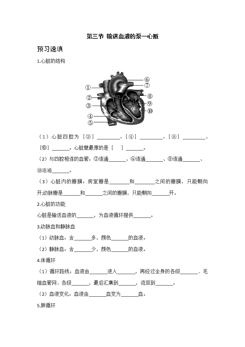 4.3《输送血液的泵——心脏》课件+教案+导学案+练习01