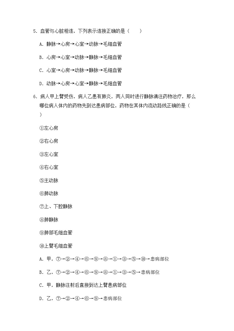 4.3《输送血液的泵——心脏》课件+教案+导学案+练习02