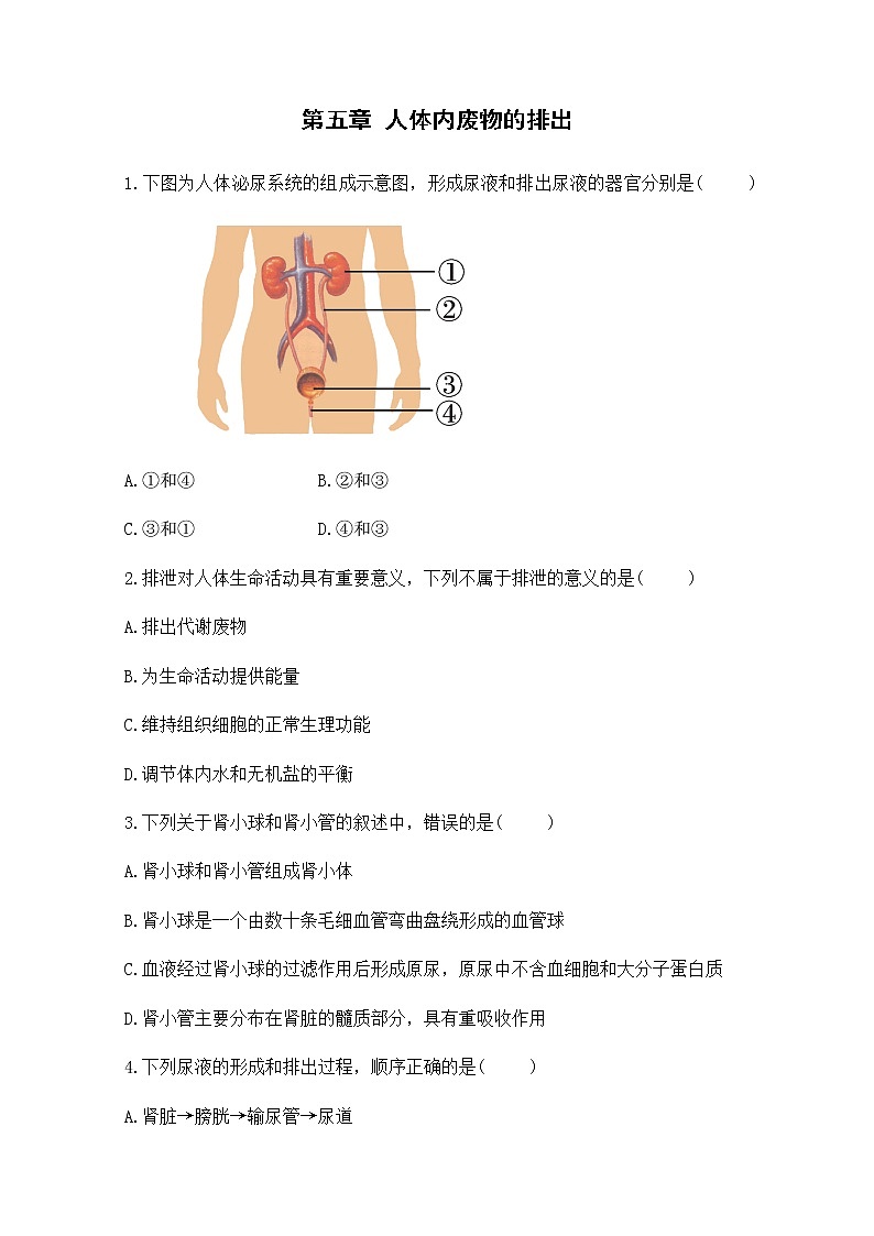 5《人体内废物的排出》课件+教案+导学案+练习01