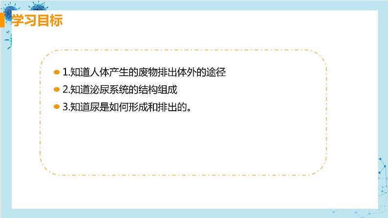 5《人体内废物的排出》课件+教案+导学案+练习02