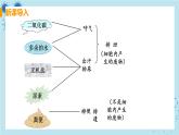 5《人体内废物的排出》课件+教案+导学案+练习