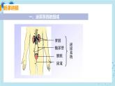 5《人体内废物的排出》课件+教案+导学案+练习