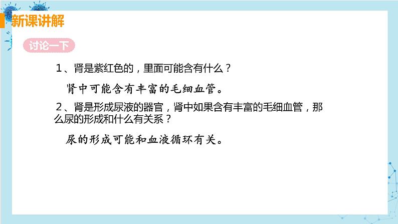 5《人体内废物的排出》课件+教案+导学案+练习08
