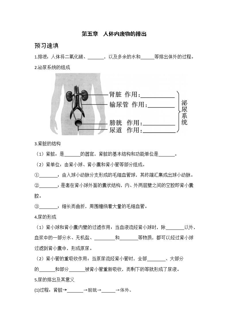 5《人体内废物的排出》课件+教案+导学案+练习01