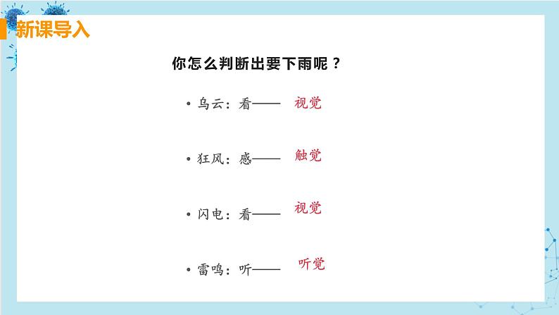 第一节  人体对外界环境的感知第5页