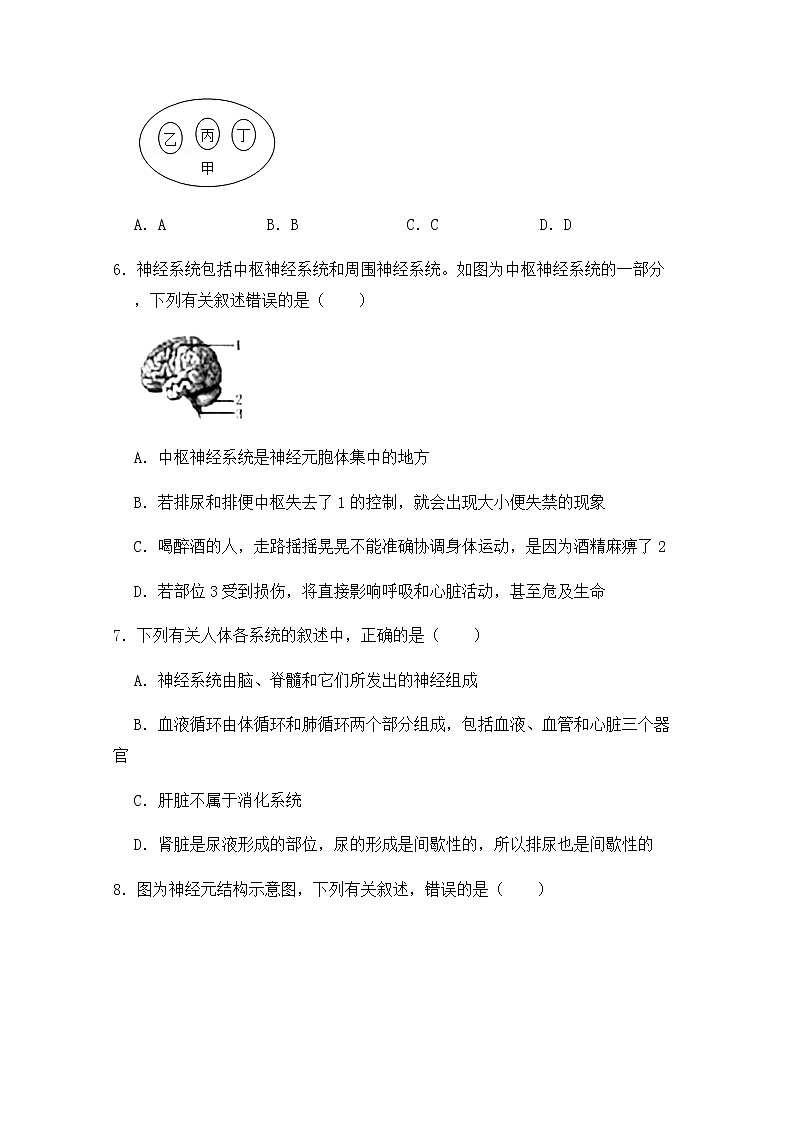 补充习题  第二节  神经系统的组成第2页