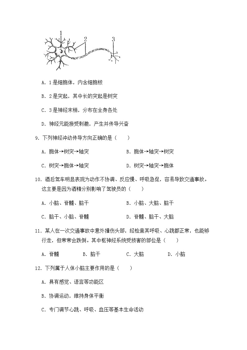 补充习题  第二节  神经系统的组成第3页