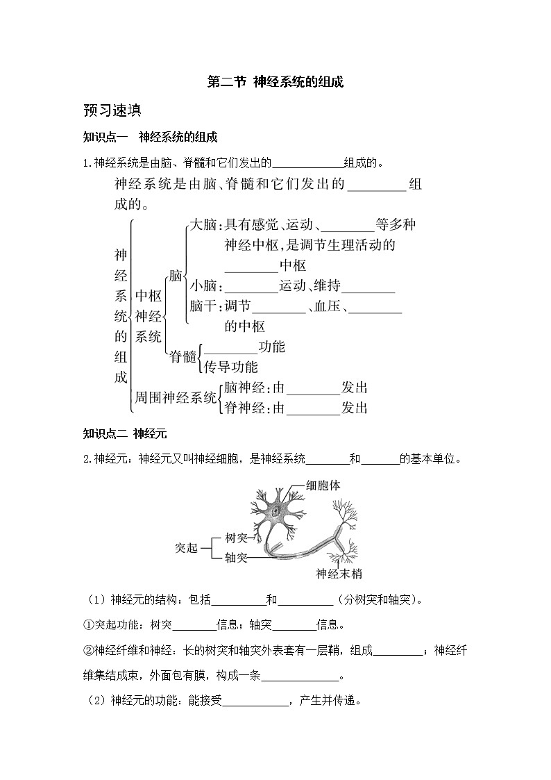 第二节  神经系统的组成第1页