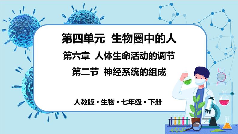 第二节  神经系统的组成第1页