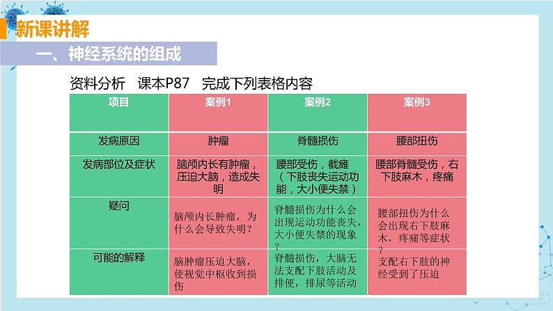 第二节  神经系统的组成第4页