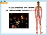 6.2《神经系统的组成》课件+教案+导学案+练习