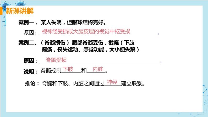 第二节  神经系统的组成第6页