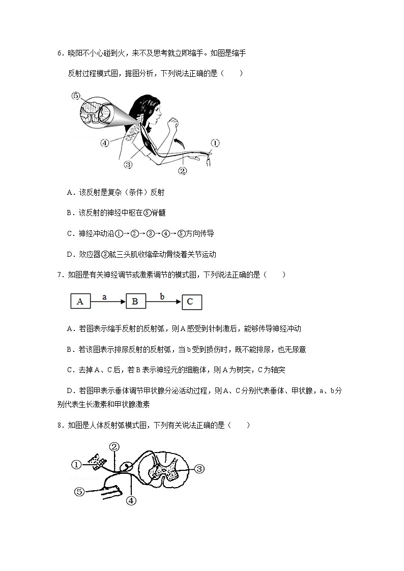 6.3《神经调节的基本方式》课件+教案+导学案+练习02