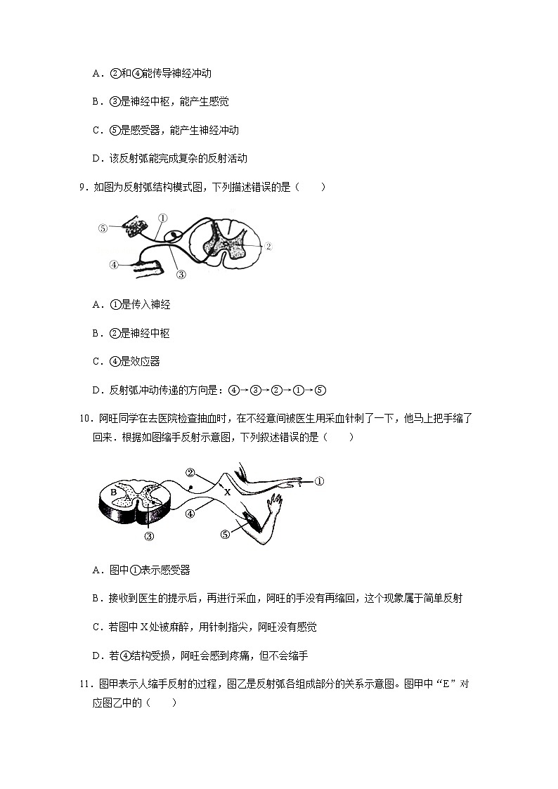 6.3《神经调节的基本方式》课件+教案+导学案+练习03