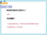 6.3《神经调节的基本方式》课件+教案+导学案+练习