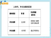 6.4《激素调节》课件+教案+导学案+练习