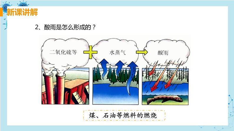 7.2《探究环境污染对生物的影响》课件+教案+导学案+练习05