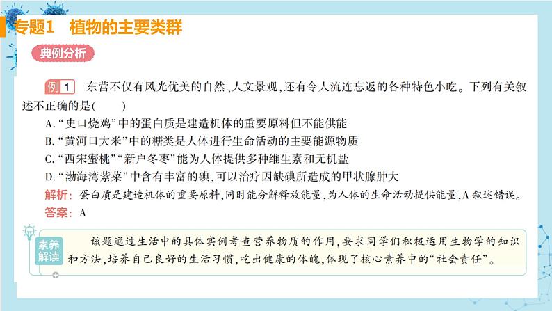 人教版生物七年级下册第二章专题课件+单元测试（含答案）04