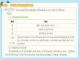 人教版生物七年级下册第三章专题课件+单元测试（含答案）