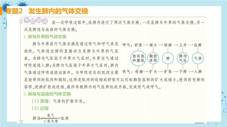 人教版生物七年级下册第三章专题课件+单元测试（含答案）05