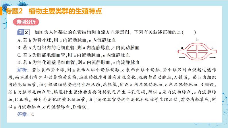 人教版生物七年级下册第四章专题课件+单元测试（含答案）05